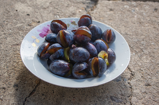Fruits of prunus domestica tree cut in halves on vintage plate on concrete surface background in sunlight, tasty ripened dark blue plums