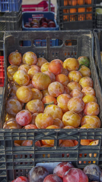 istock Plum box in an open-air market in Spain 1341543048