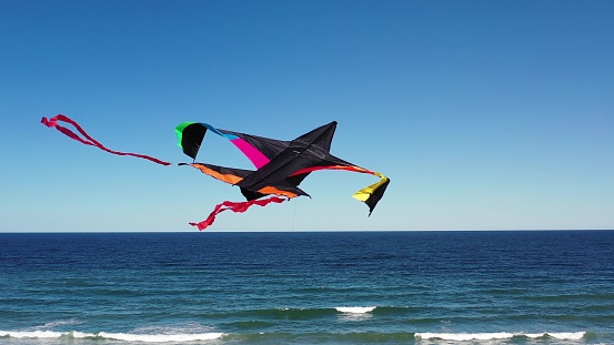 Aerial view of a Kite at the beach