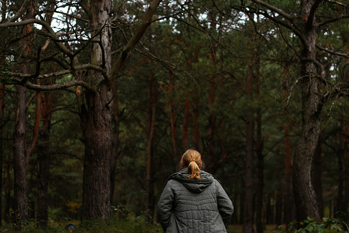 Defocus back view of a young blonde woman hiking in forest. Hiking woman walking in gloomy mystical forest, cinematic. Person discovering nature. Dark forest. Lost in woodland. Out of focus.