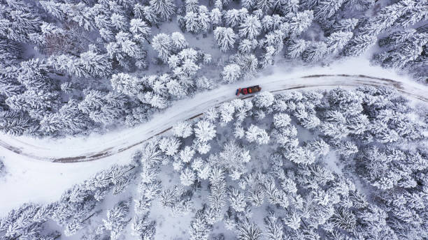 눈 쟁기 - plowed road 뉴스 사진 이미지