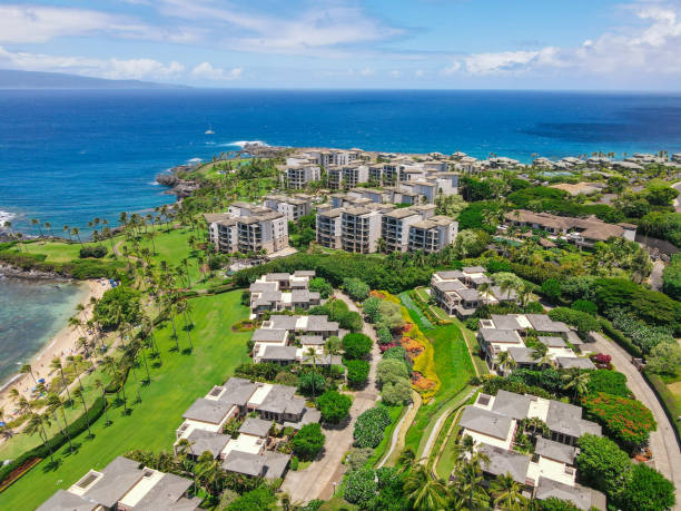 vista aerea della costa di kapalua a maui, hawaii - maui beach palm tree island foto e immagini stock