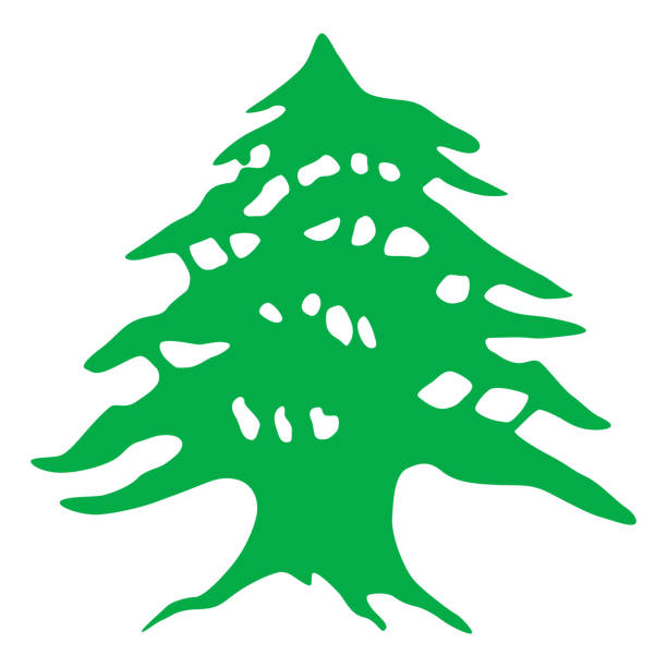 레바논 공화국 (레바논) 삼나무 나무 벡터 아트 일러스트