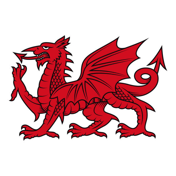 ilustraciones, imágenes clip art, dibujos animados e iconos de stock de símbolo del dragón galés (cadwaladr, el dragón rojo) - welsh flag flag welsh culture all european flags