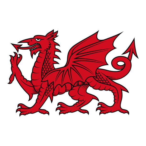символ валлийского дракона (cadwaladr, красный дракон) - welsh flag stock illustrations
