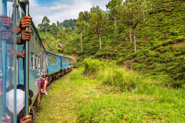 istock Train in  Nuwara Eliya, Sri Lanka 1341561189