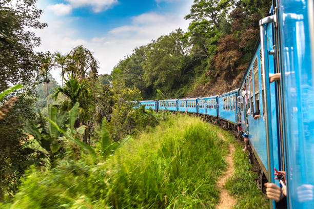 istock Train in  Nuwara Eliya, Sri Lanka 1341561200