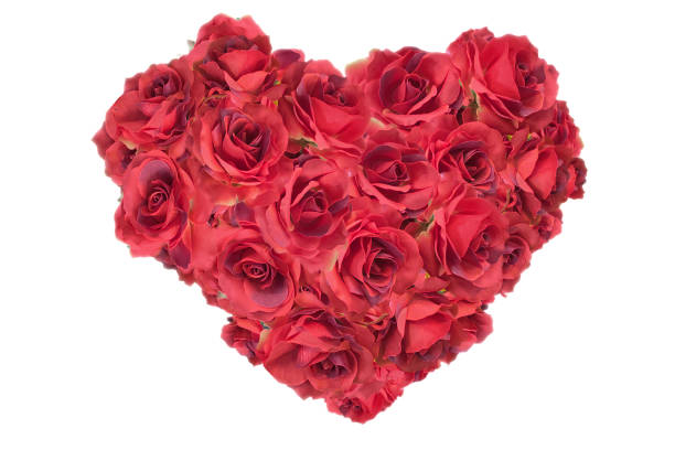 istock crimson red rose decoration background image 1341561333