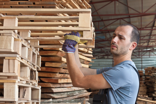 Man arranging beech pallets in a warehouse, horizontal shot