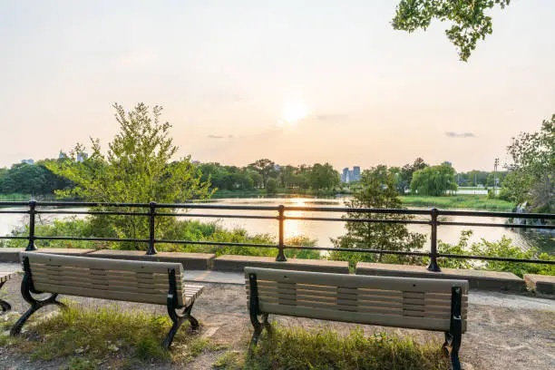 Photo of Swan Lake, Jean-Drapeau park in summer evening.