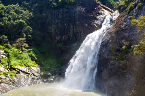 istock Dunhinda waterfall in Sri Lanka 1341563514