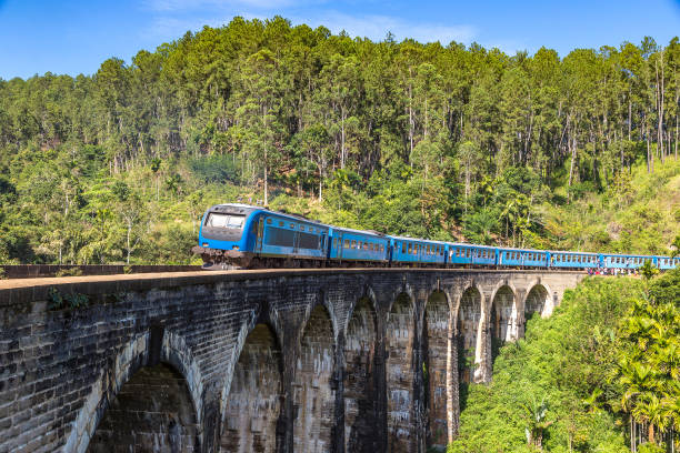 istock Train at Nine arch bridge,  Sri Lanka 1341563587