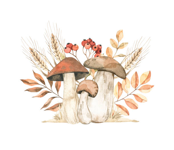 Watercolor Autumn illustration with mushrooms, fall leaves, wheat and berries. Composition with autumn elements. Perfect for invitations, greeting cards, posters, prints, social media Watercolor Autumn illustration with mushrooms, fall leaves, wheat and berries. Composition with autumn elements. Perfect for invitations, greeting cards, posters, prints, social media winter rye stock illustrations
