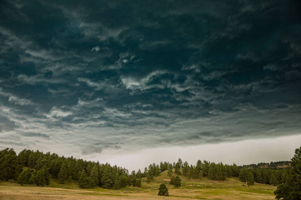 Dark storm clouds brewing over grassy forest plains
