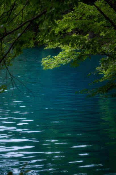 istock Dazzling greens and blues of Plitvice 1341565599