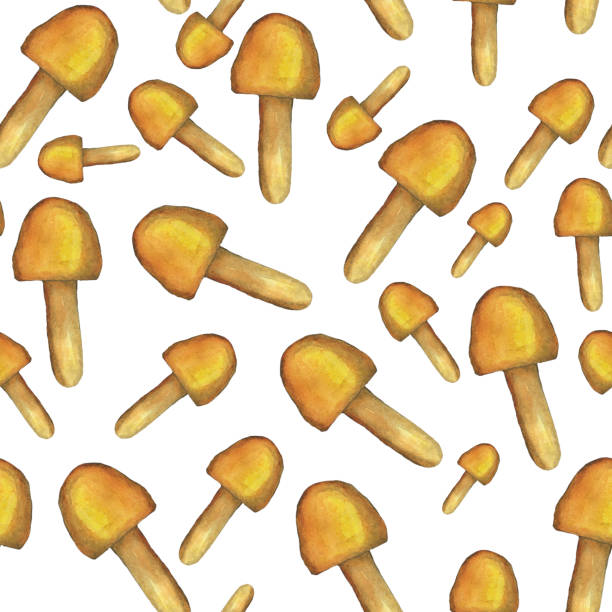 istock Poisonous cartoon mushroom seamless pattern on white background. Watercolor hand drawing illustration. Perfect for wallpaper, digital paper, textile. Yellow toadstool mushroom. 1341565928