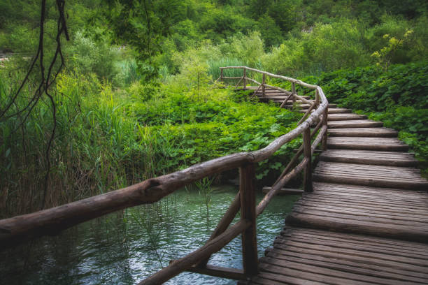 istock Trail on Plitvice Lakes National Park 1341565939