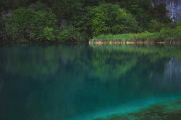 Beautiful view of lake with clear turquoise water, green plants trees and mountains rocks in the background, National park Plitvice Lakes, Croatia, Europe