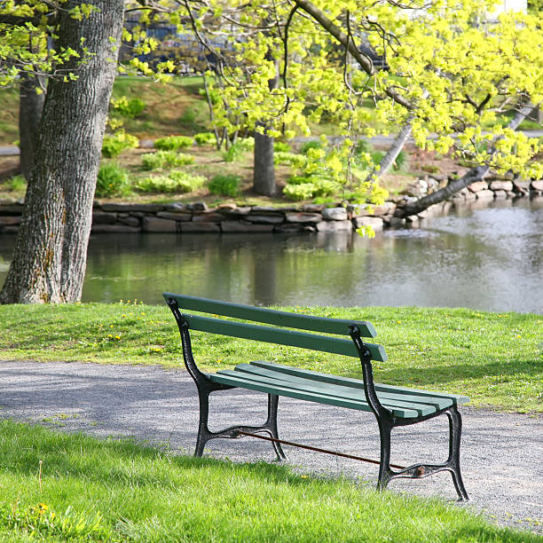 istock Close-up park bench in the park 134156793