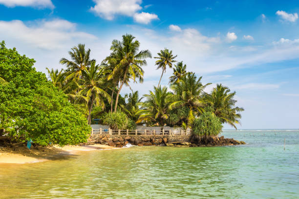 istock Beach in Sri Lanka 1341569524