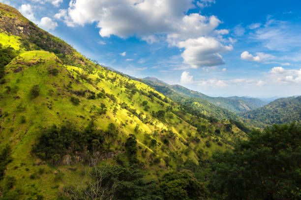 istock Ella in Sri Lanka 1341569622