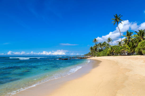 istock Beach in Sri Lanka 1341569660