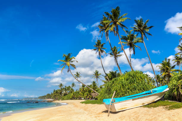 istock Fishing boat  in Sri Lanka 1341569742