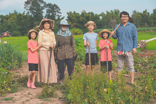 Asian family gardener on land of organic farm agriculture