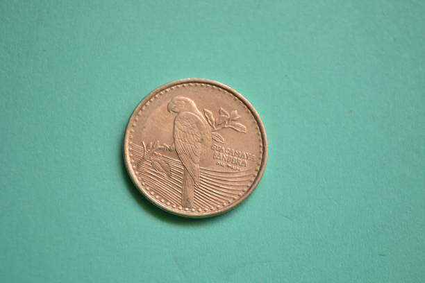 istock Money paper money 1341575937