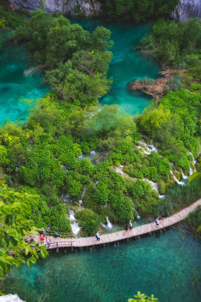 istock Jezero Gavanovac, Plitvice Lakes National Park 1341576034
