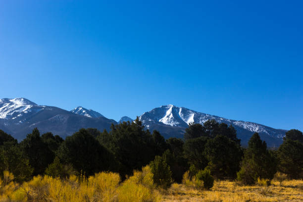 istock Colorado in April : Pine Trees, Yellow Field, Snowcapped Mountains 1341576396