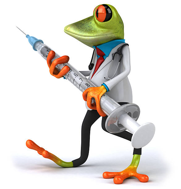 grenouille médecin - frog three dimensional shape animal green photos et images de collection