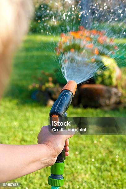 Regar Relva E Flores - Fotografias de stock e mais imagens de Ao Ar Livre - Ao Ar Livre, Aspersor, Atividade