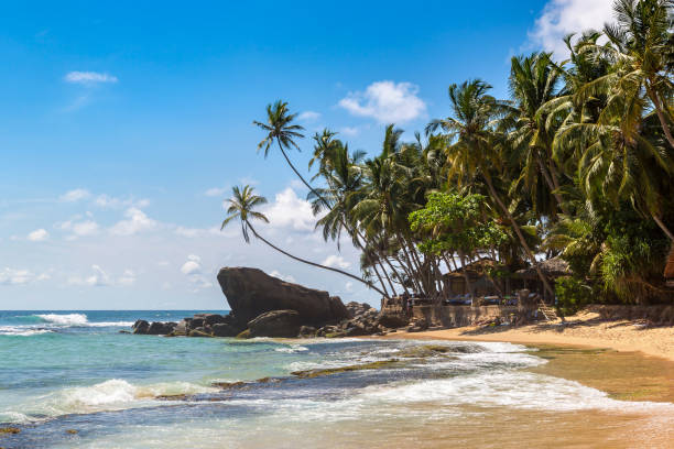 istock Dalawella Beach in  Sri Lanka 1341579049
