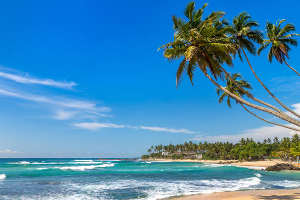 istock Dalawella Beach in  Sri Lanka 1341579078
