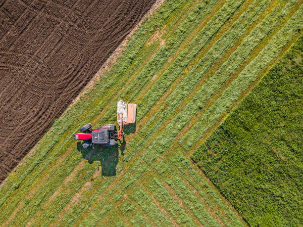 vista aerea dell'erba medica falciante del trattore. agricoltura primaverile. - alfalfa foto e immagini stock