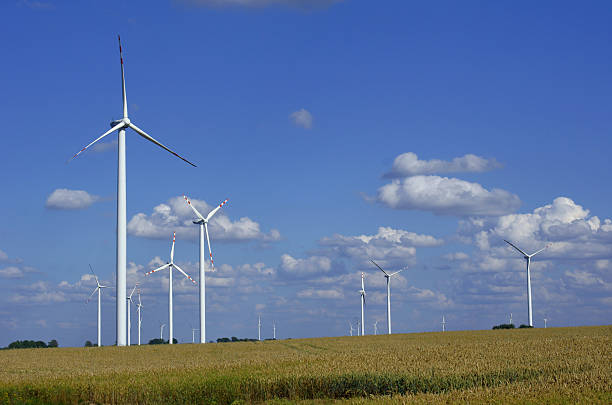 istock turbines in wind farm 134158612
