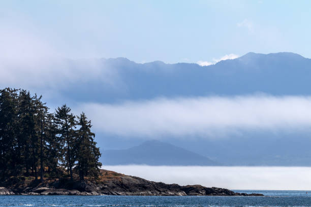 istock West Coast Of Vancouver Island 1341591307