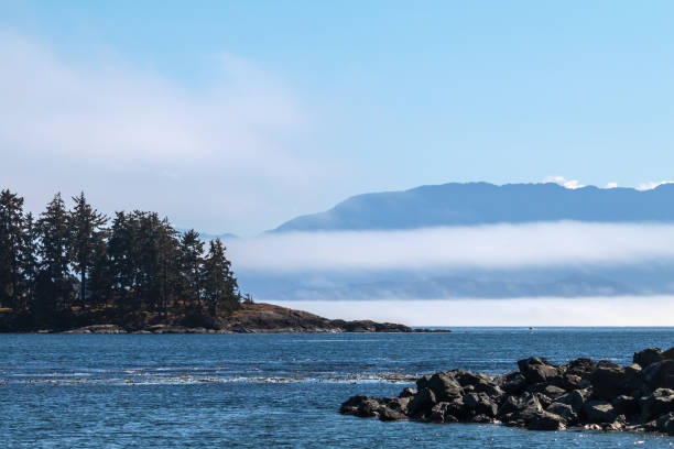 istock West Coast Of Vancouver Island 1341591323