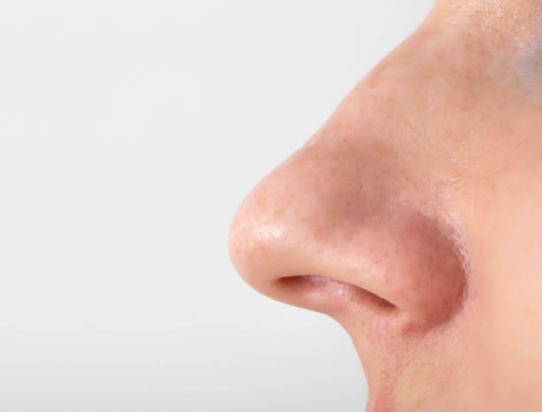 istock Close-Up of Female Nose 1341592145