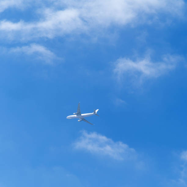 Free Stock Photo of A Plane Flying Through a Cloudy Blue Sky | Download ...