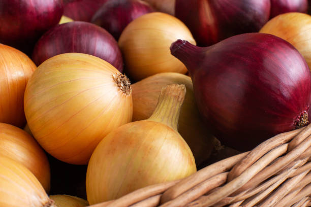 istock Background from red and yellow onions. Healthy vegetable, copy space, macro 1341594092
