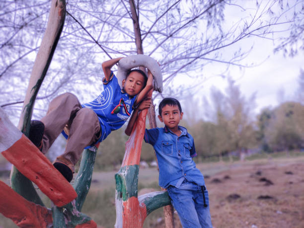 istock two boys relaxing on a wooden tree 1341598940