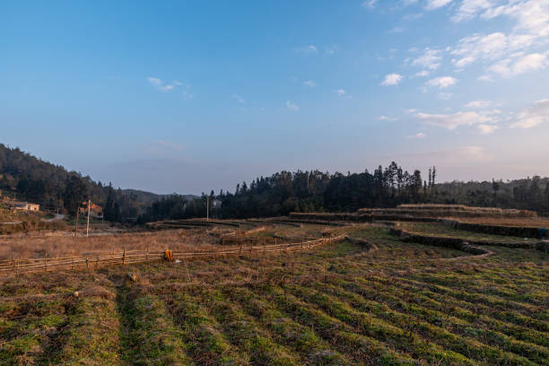 istock Evening country scenery, houses, fields and trees 1341600938