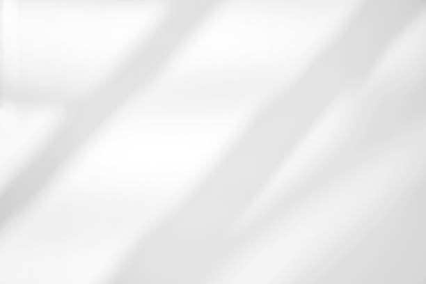 istock Natural Light and shadow from window overlay effect on  white background. Silhouette light abstract can use for wallpaper minimal,mock up design.Black and white blurred image backdrop. 1341601131