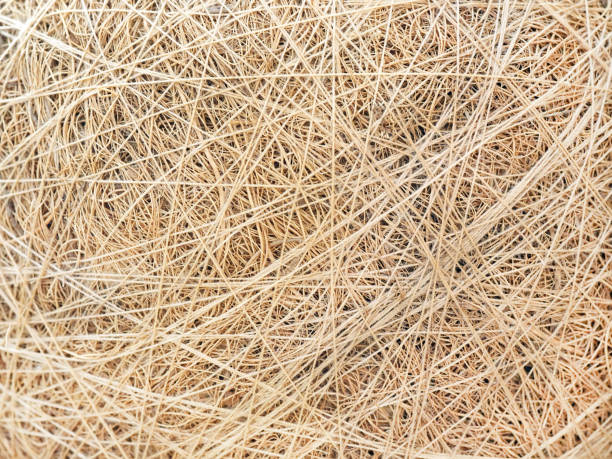 istock The background is beige yellow. Thread strips 1341604488