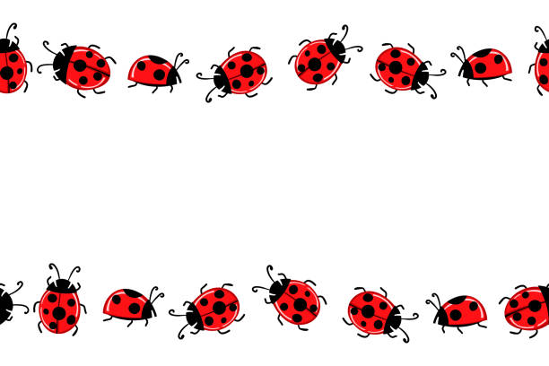 Cartoon cute colorful ladybird mascot. Ladybags with an empty table. Vector character. Insect icon. Holiday template design for invitation, cards, wallpaper, school, kindergarten. Copy space Cartoon cute colorful ladybird mascot. Ladybags with an empty table. Vector character. Insect icon. Holiday template design for invitation, cards, wallpaper, school, kindergarten. Copy space. lady bug stock illustrations