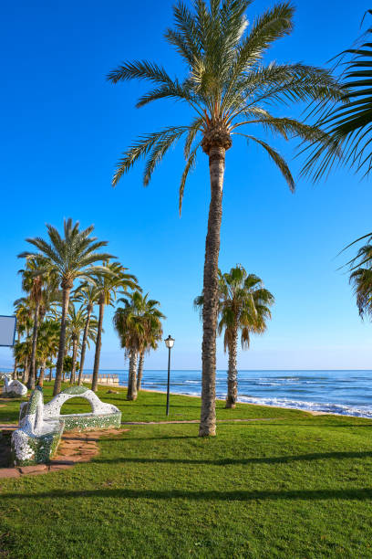 istock Oropesa de Mar beach mosaic bench park 1341607316