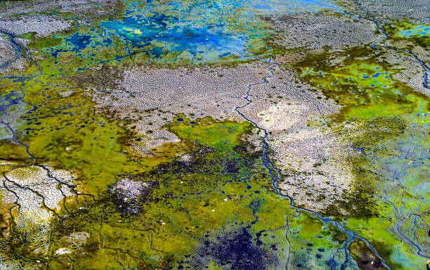 istock A multicolored landscape of the earth. 1341608295