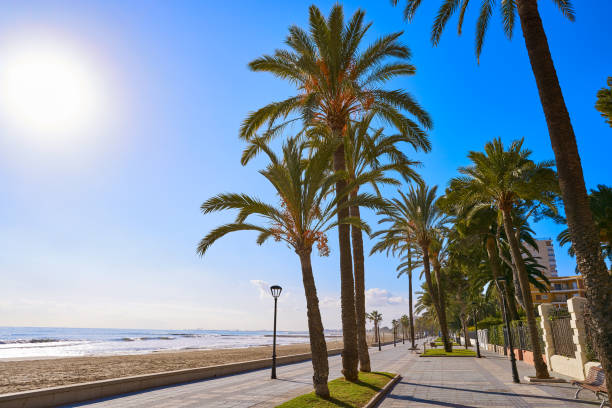 istock Benicassim Almadrava playa beach Castellon 1341609199
